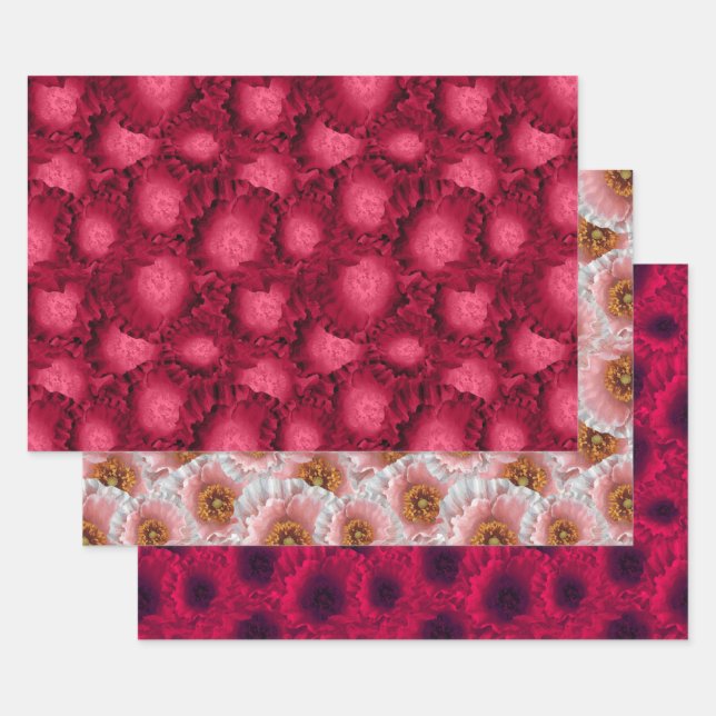 Set, Pfeffer, Blumenmuster, Blume, rosa, rot Geschenkpapier Set (Set)