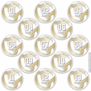Set von 13 gürtelgoldenen Volleyballspielern Aufkleber