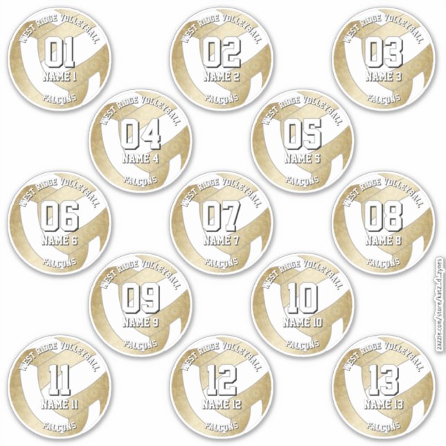 Set von 13 gürtelgoldenen Volleyballspielern Aufkleber (Vorderseite)
