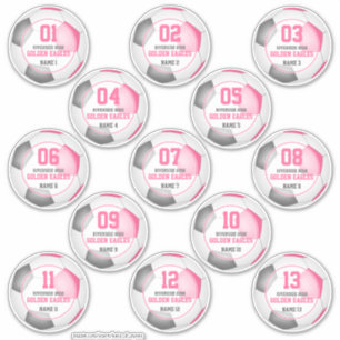Set von 13 Mädchen in pink-grauer Fußballmannschaf Aufkleber