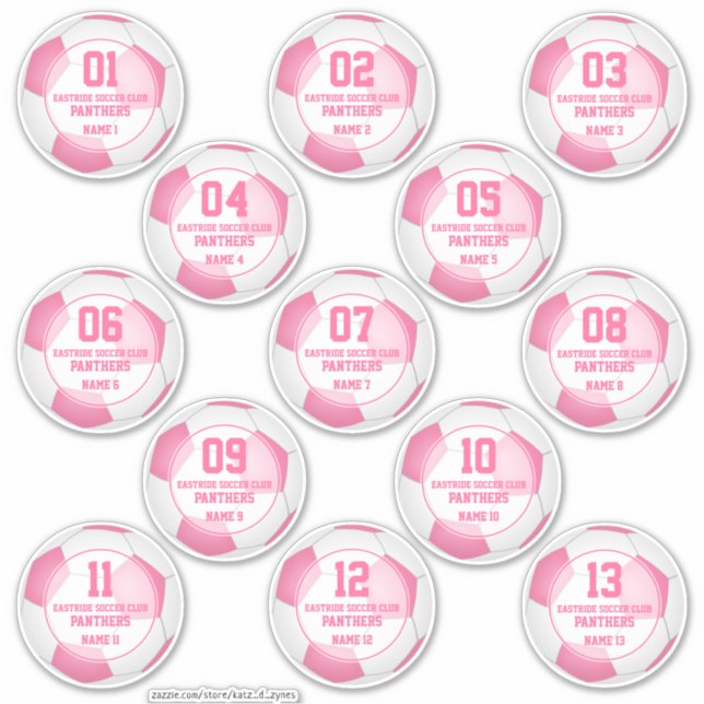 Set von 13 Mädchenpiloten im Geiste einer rosa Fuß Aufkleber (Vorderseite)