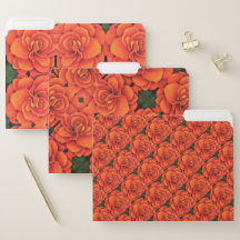 Set von 3 Dateiordner - Orange Begonia