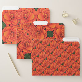 Set von 3 Dateiordner - Orange Begonia Papiermappe