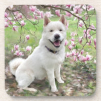 Set von 6 Cork Back Untersetzer White Akita