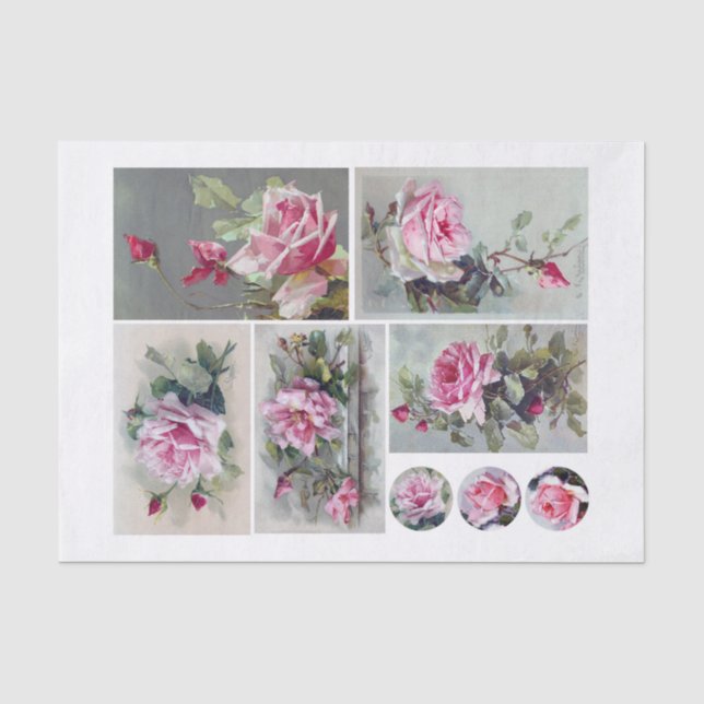 Set von Klien (1820-1929), Rose Seidenpapier (Vorderseite)