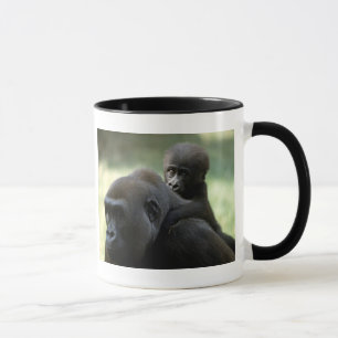 Set wild lebender Tiere - Primate 11 Tasse