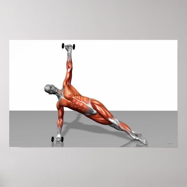 Setanta Push Up 2 Poster (Vorne)