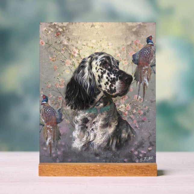 Setter anglais  (Neutre)