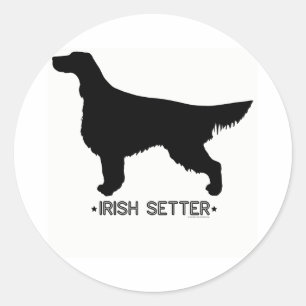 Setter-Aufkleber Runder Aufkleber