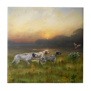 Setter-Familie Fliese