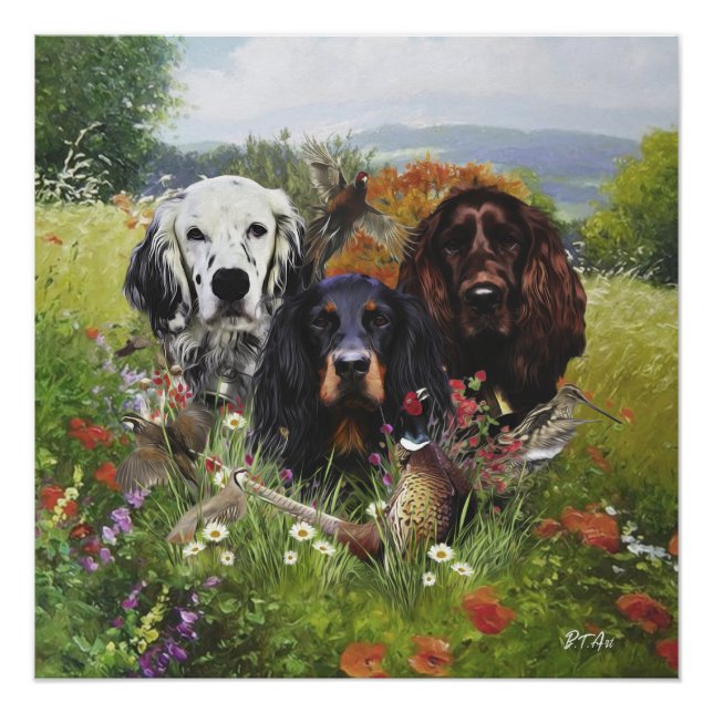 Setter-Familie Poster (Vorderseite)