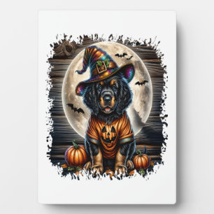 Setter-Hund Halloween-Quadrat Fotoplatte