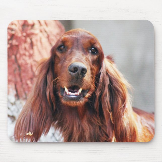 Setter-Hund Mousepad (Vorne)