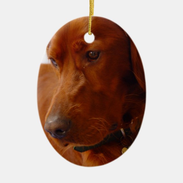 Setter-Hundeverzierung Keramikornament (Vorne)