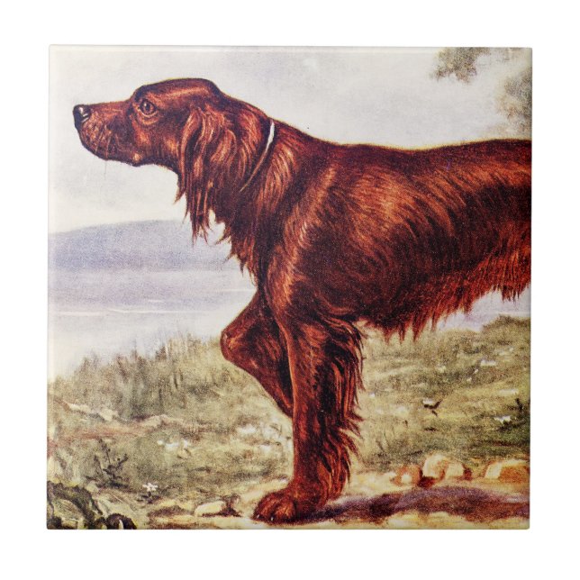 Setter-Illustration 1900 des sportlichen Hundes Fliese (Vorderseite)