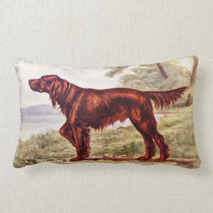 Setter-Illustration 1900 des sportlichen Hundes Lendenkissen