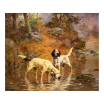 Setter in einem Kühlstrahl nach Percival Rosseau