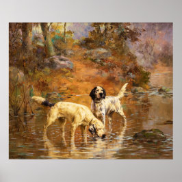Setter in einem Kühlstrahl nach Percival Rosseau Poster