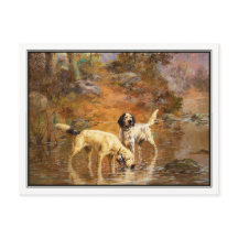 Setter in einem Kühlstrahl nach Percival Rosseau