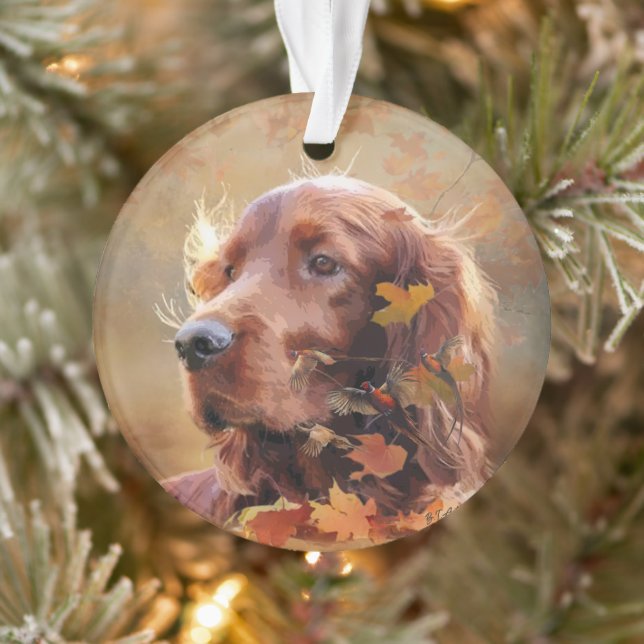Setter irlandais (Arbre)