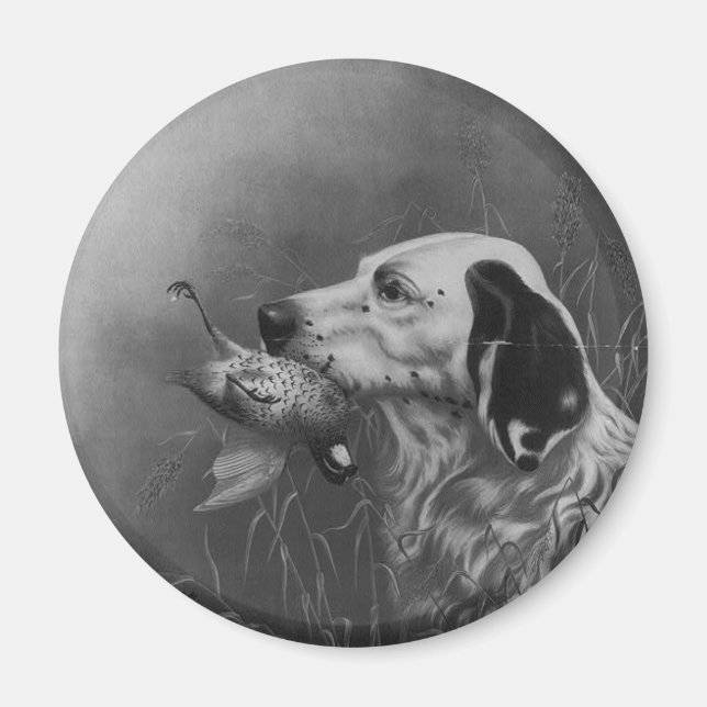 Setter mit Grouse Magnet (Vorne)