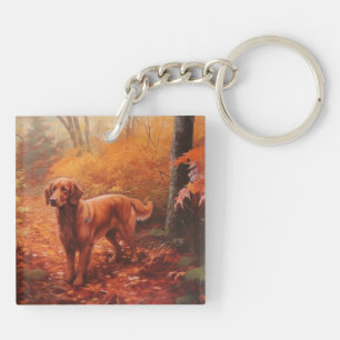 Setter rouge irlandais à l'automne Feuilles automn