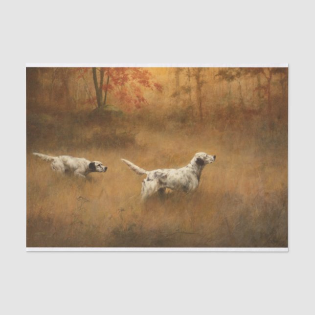 Setters in einem Feld des Percival Leonard Rosseau Seidenpapier (Vorderseite)