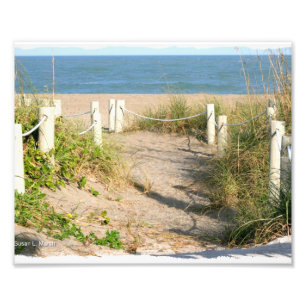 Setzen Sie die Wegdüne auf den strand, die weg vo Fotodruck