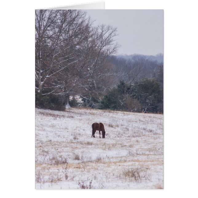 Seul Dans La Neige (Devant)