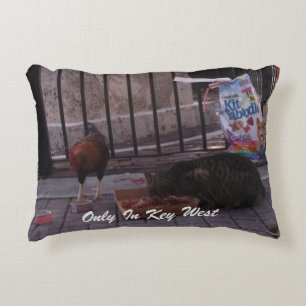 "Seulement chat à Key West" et coussin de coq