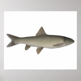 Seven Khramulya Poster