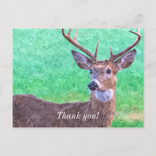 Seven Point Buck Painterly Danke Postcard Postkarte