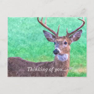 Seven Point Buck Painterly Denken Sie Postkarte