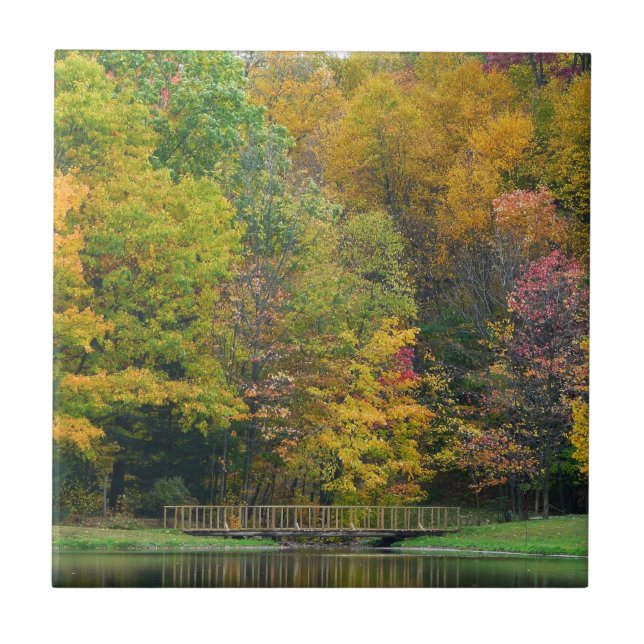 Seven Springs Fall Bridge II Herbstlandschaft Fliese (Vorderseite)
