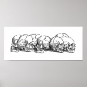 Seven Vintag Skulls Poster