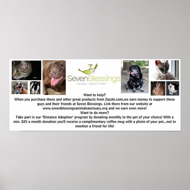 sevenblessings.org poster (Vorne)