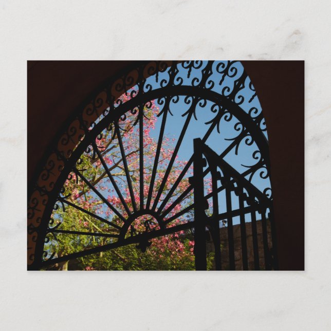 Seville Archway Postcard Postkarte (Vorderseite)