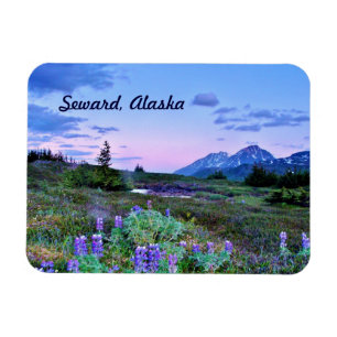 Seward, Alaska-Magnetreise Magnet