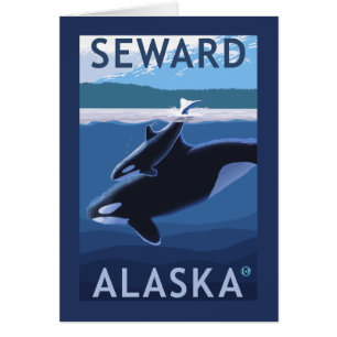 Seward, AlaskaOrca et Calf Scene
