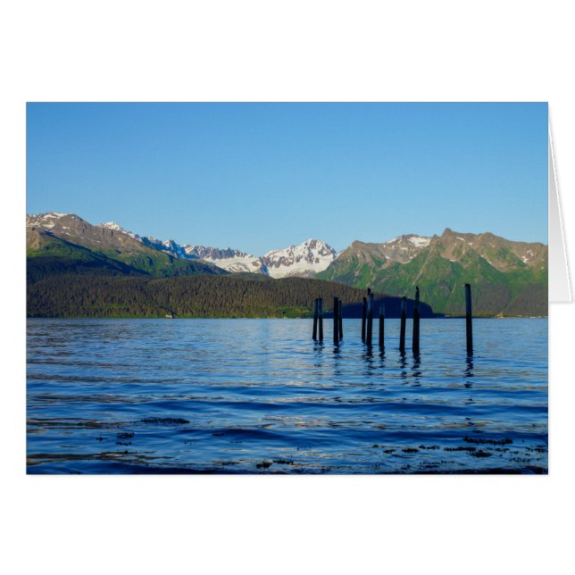 Seward Beauty (Vorderseite (Horizontal))