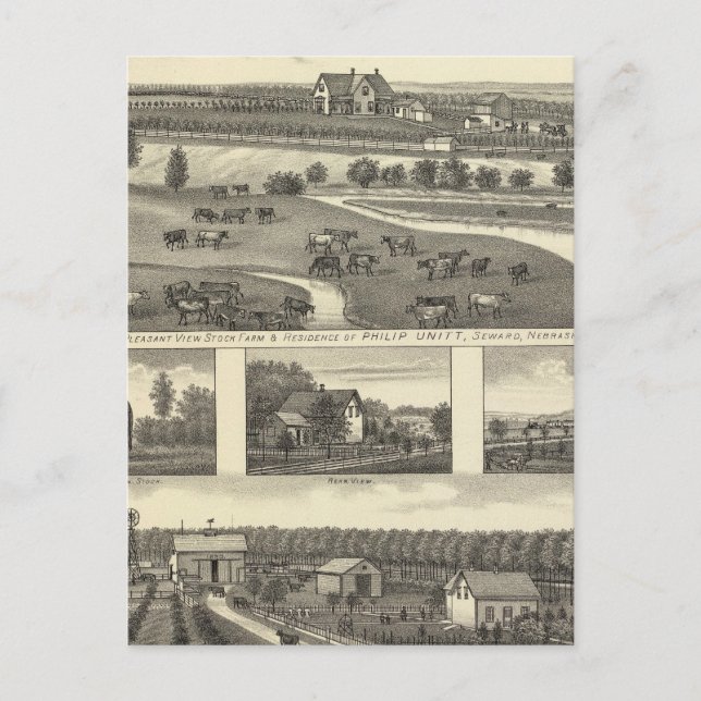 Seward Farms, Nebraska Postkarte (Vorderseite)