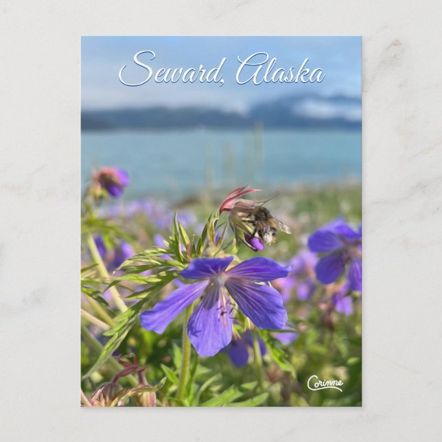 Seward Geranium - Postkarte (Vorderseite)