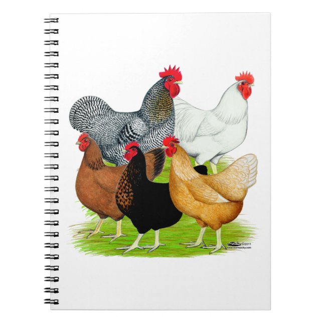 Sexuelles Quintet Notizblock (Vorderseite)