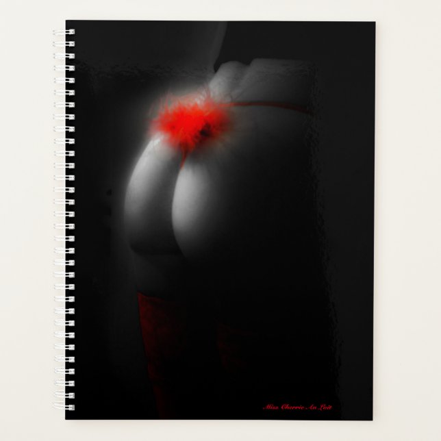 Sexy Glamour Babe Weihnachtsgeschenk Geschenkplane Planer (Vorderseite)