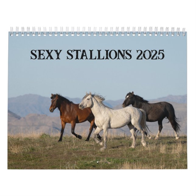 Sexy Hengste 2025 Kalender (Titelbild)