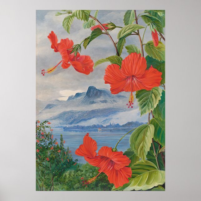 Seychellen by Marianne North - Exotische Landschaf Poster (Vorne)