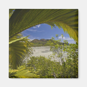 Seychellen, Curieuse-Insel, Laraie-Bucht Magnet