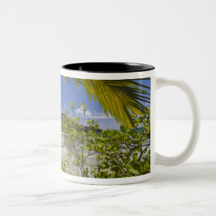 Seychellen, Curieuse-Insel, Laraie-Bucht Zweifarbige Tasse