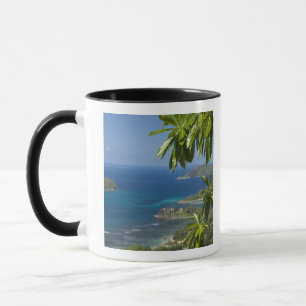 Seychellen, Insel Mahe. Westküste von Tasse