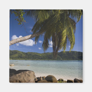 Seychellen, Mahe-Insel, Anse a la Mouche Magnet